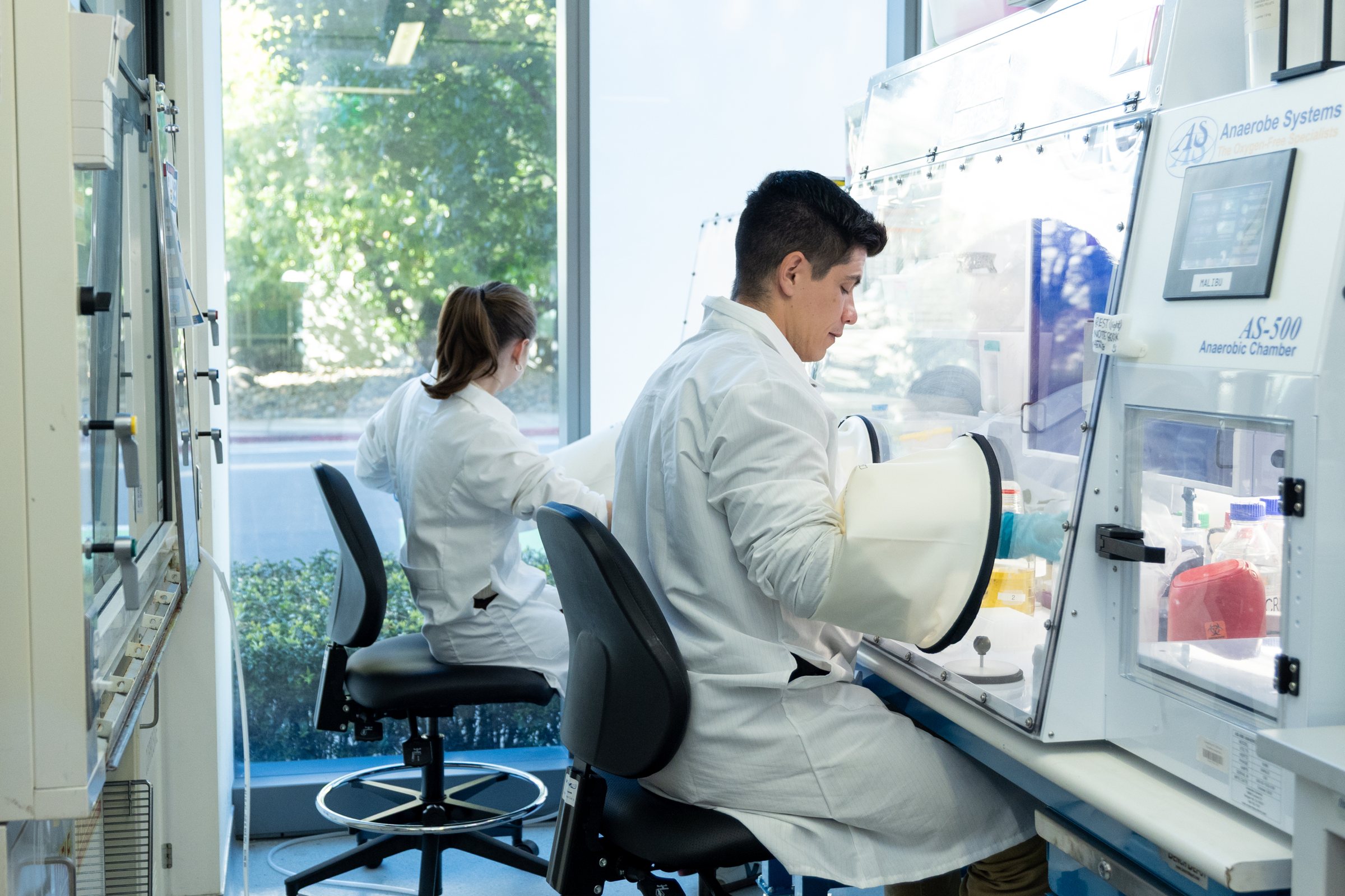 A Ronda Lab scientist at the anaerobic hood