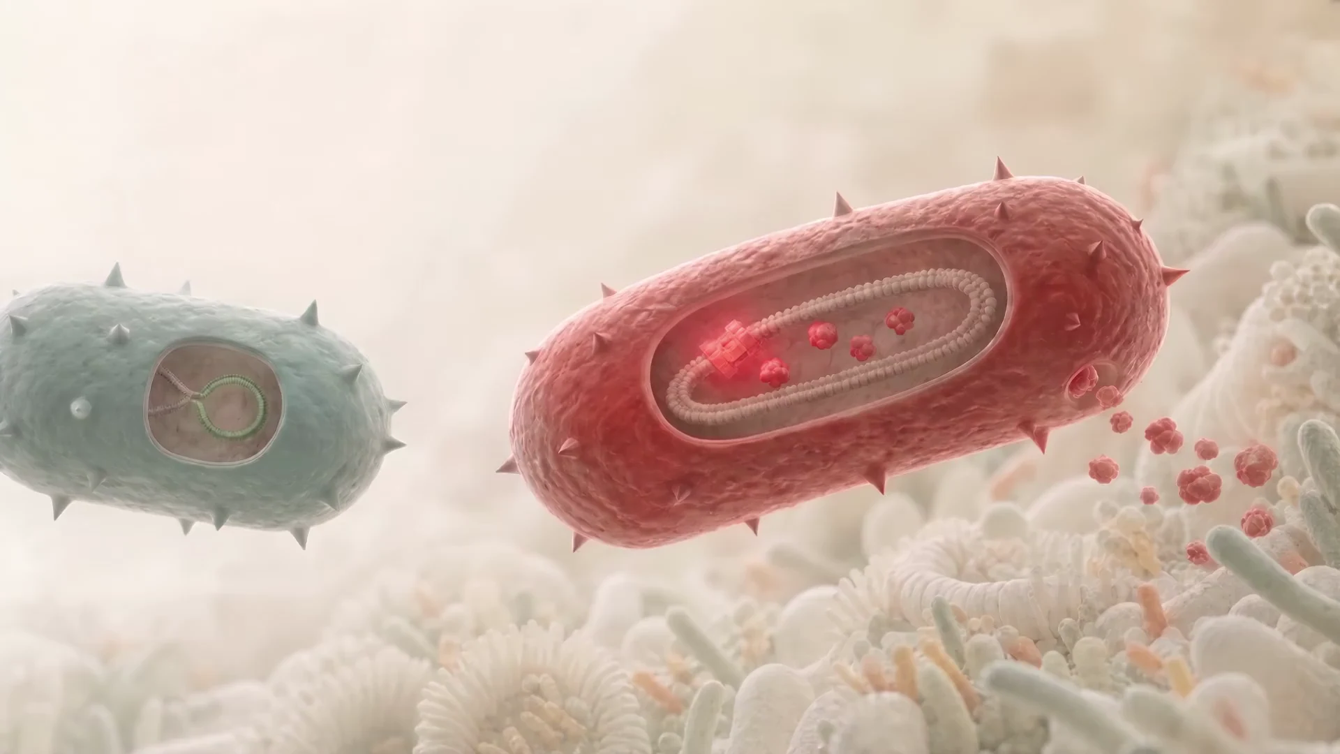 A red recipient microbe makes and releases red toxin proteins beside a donor cell.